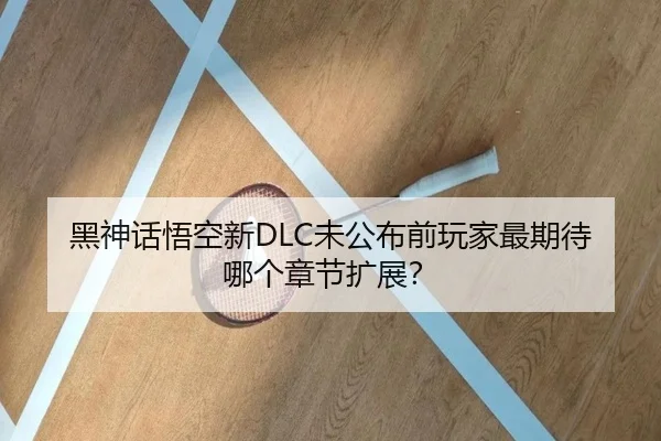 黑神话悟空新DLC未公布前玩家最期待哪个章节扩展？